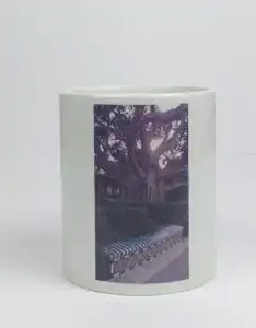 Tasse Uralter Knorriger Baum